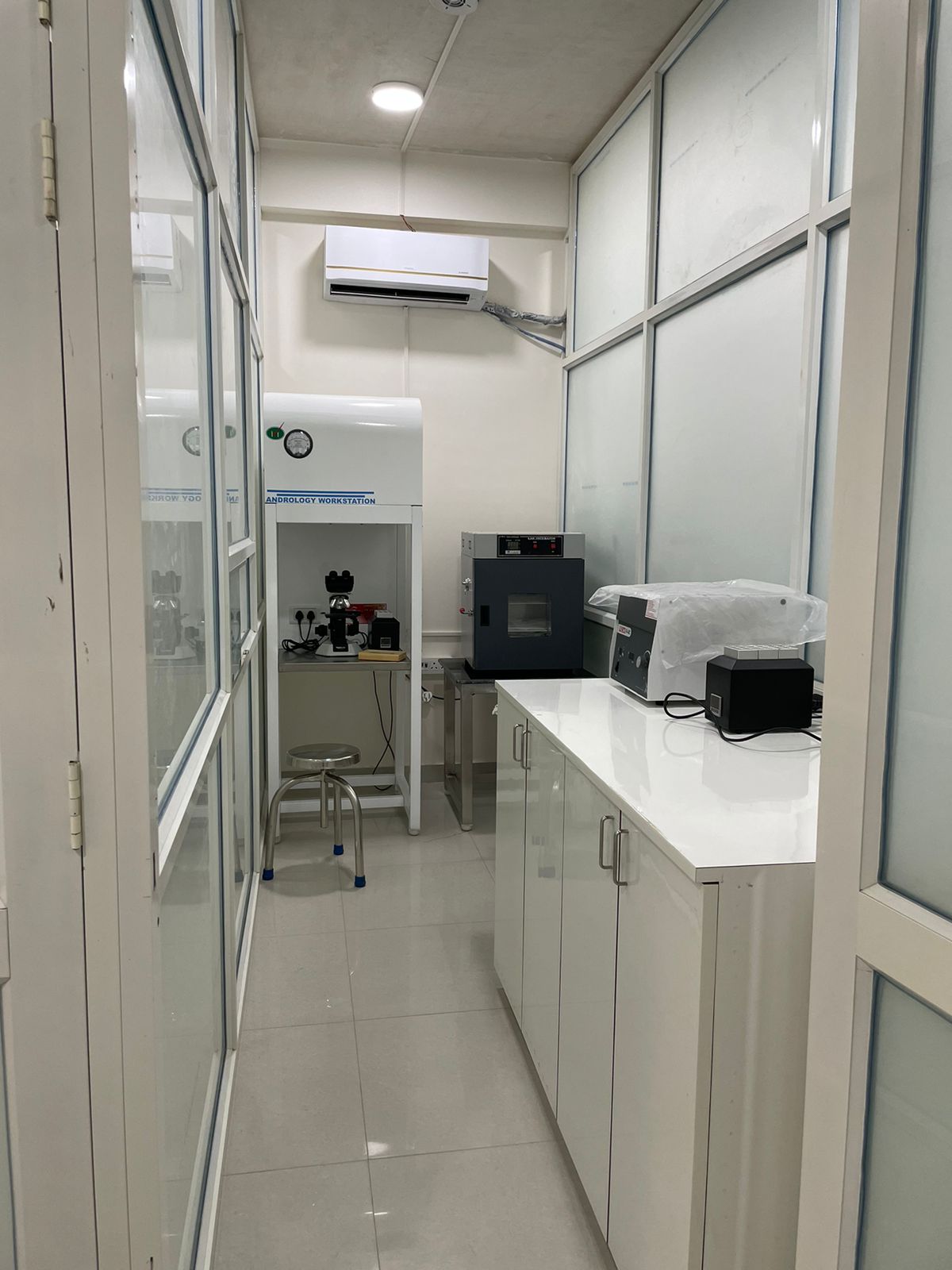 Egg Freezing (Oocyte Cryopreservation)